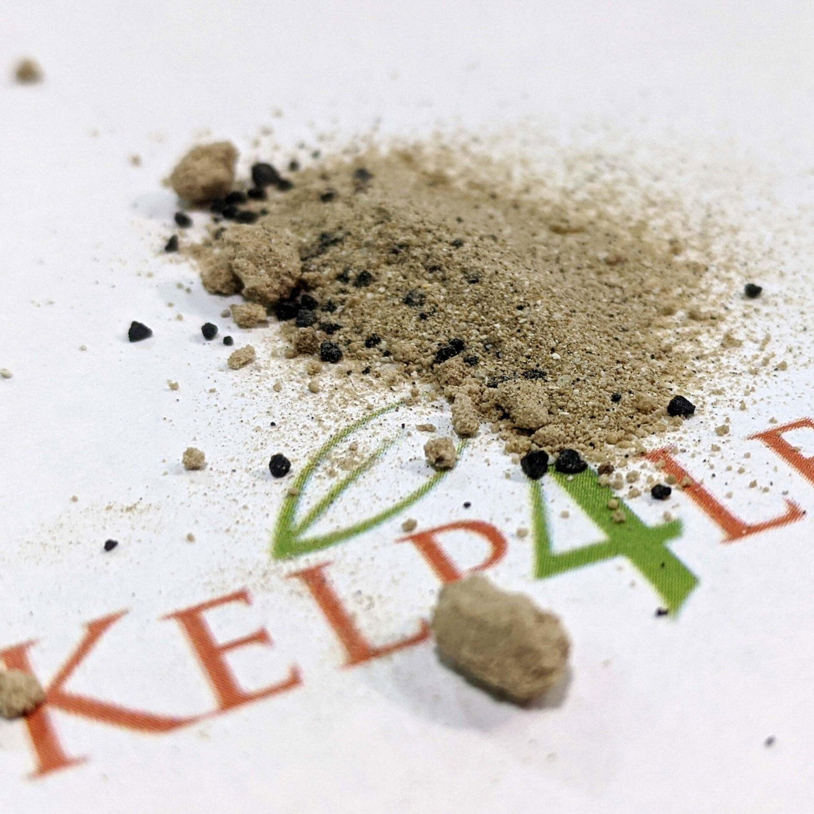 Green-Lawn-and-Turf-official