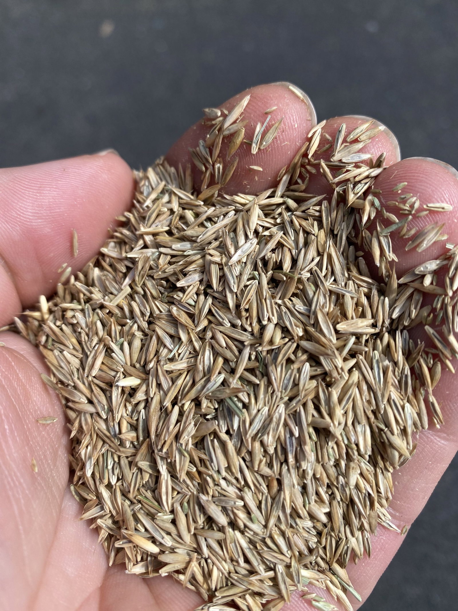 Jonathan Green TurfPro Sodmaker