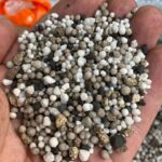 Carbon Phix Lawn Fertilizer