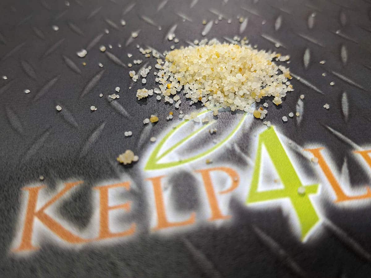 Kelp4less-Micro-Greens