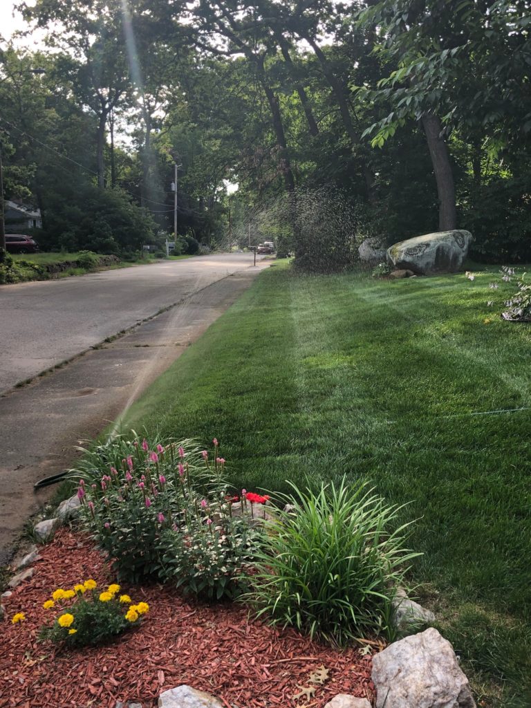 watering full lawn grass