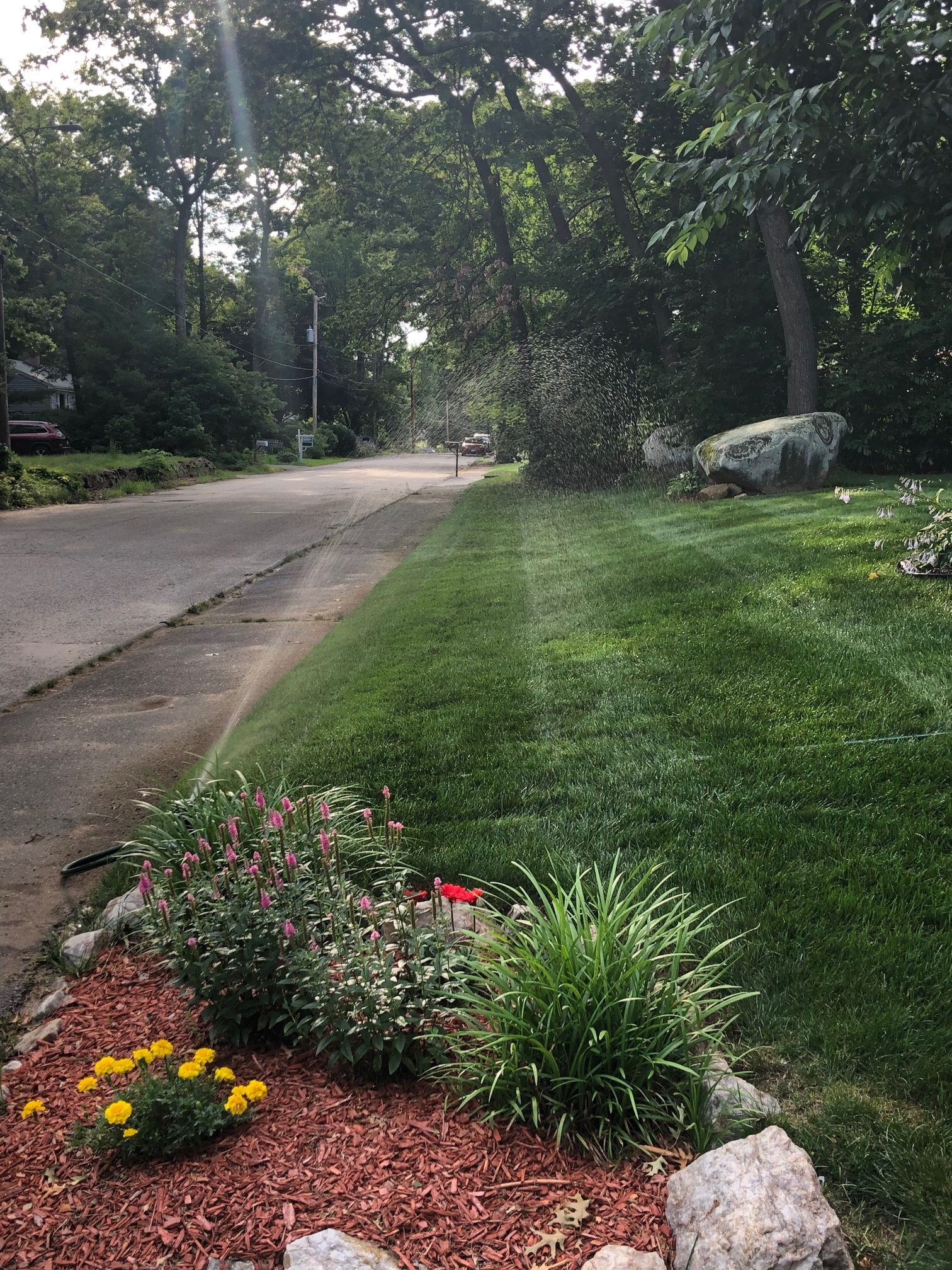 watering full lawn grass