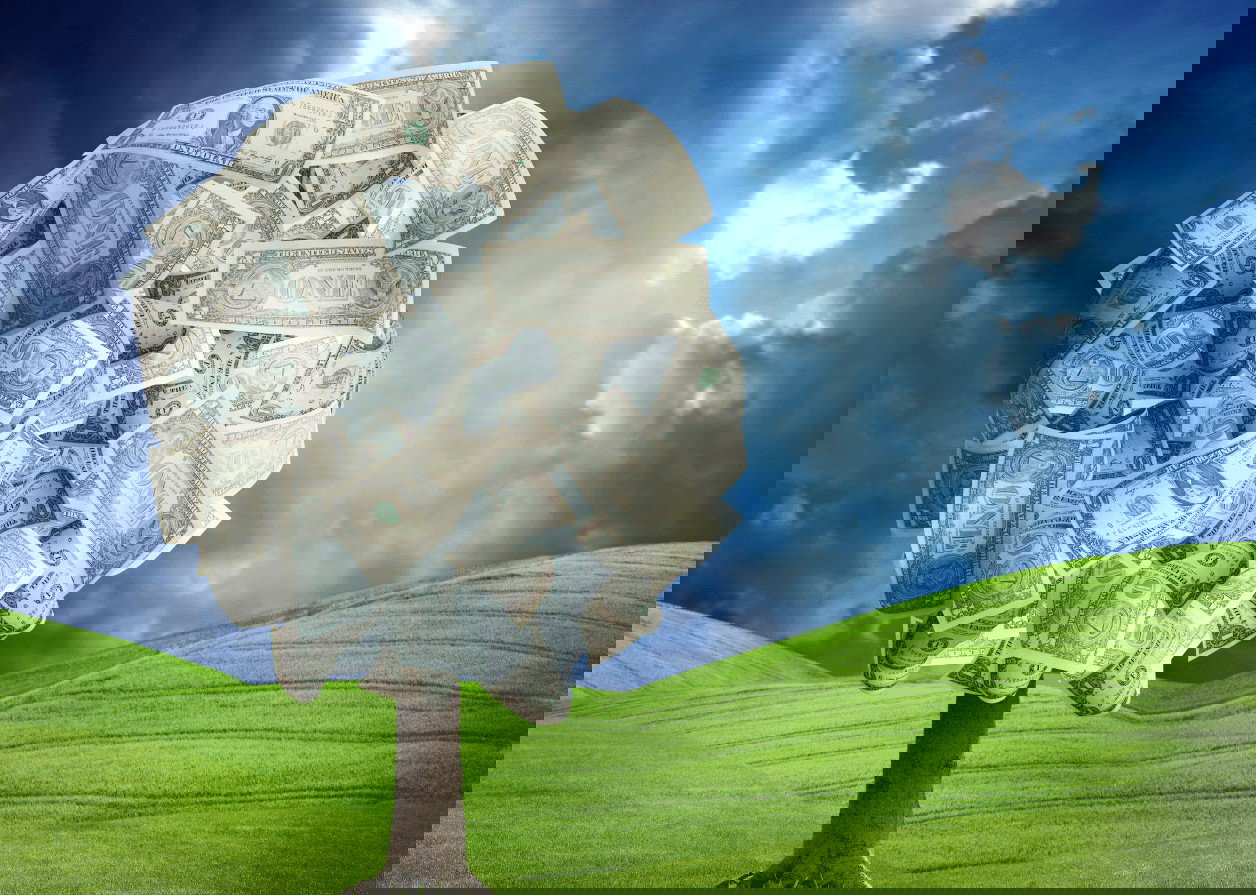 Money-in-landscape-liability-insurance