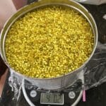 Prodiamine 19 0 7 weighed